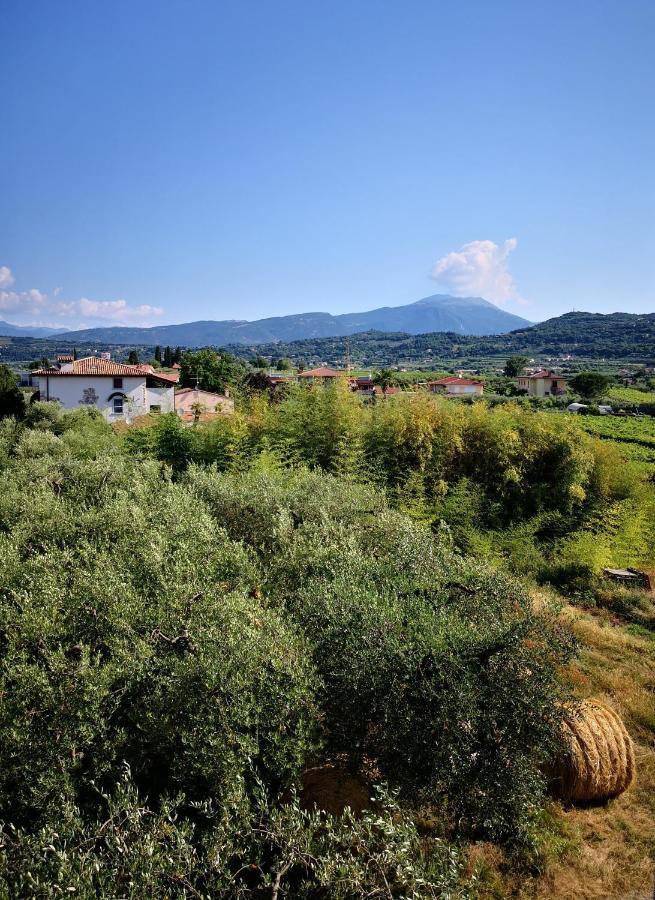 Appartamenti Bellini Bardolino Luaran gambar