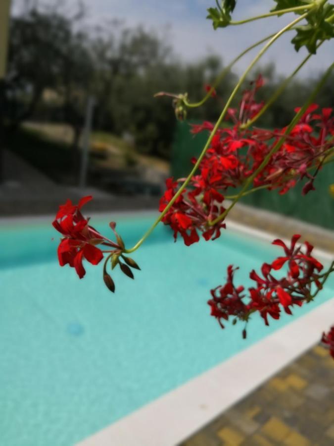 Appartamenti Bellini Bardolino Luaran gambar