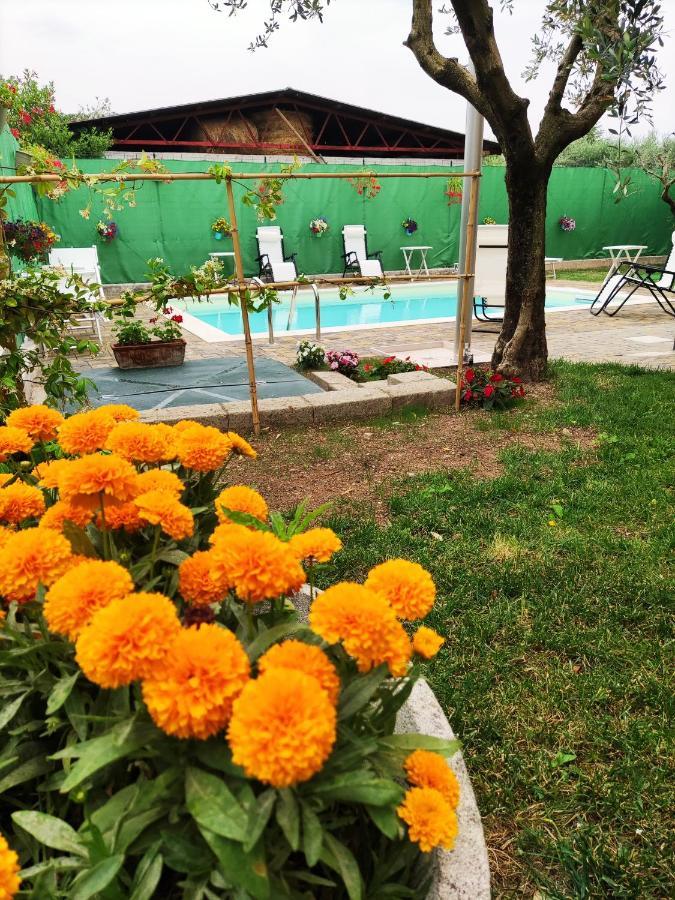 Appartamenti Bellini Bardolino Luaran gambar