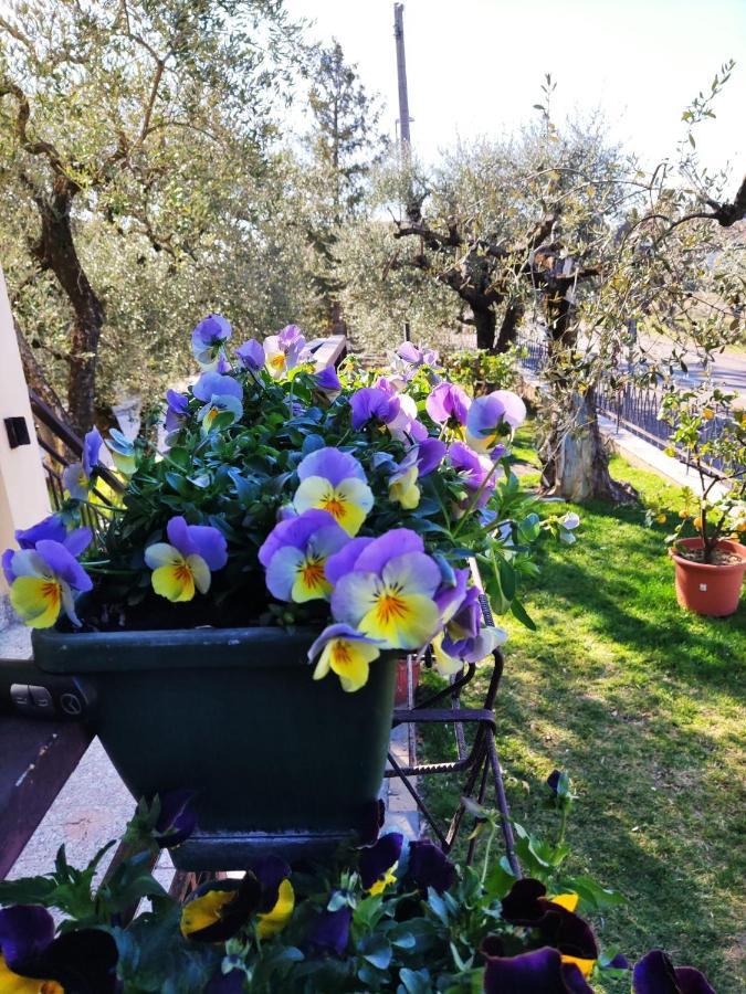 Appartamenti Bellini Bardolino Luaran gambar